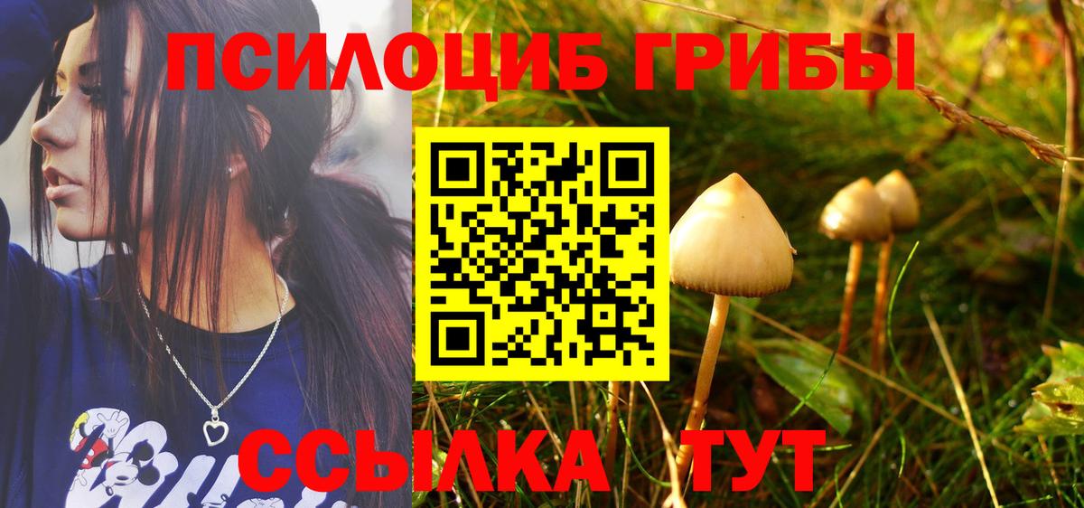 Саянск  Псилоцибиновые грибы Psilocybine cubensis  Вход с VPN 